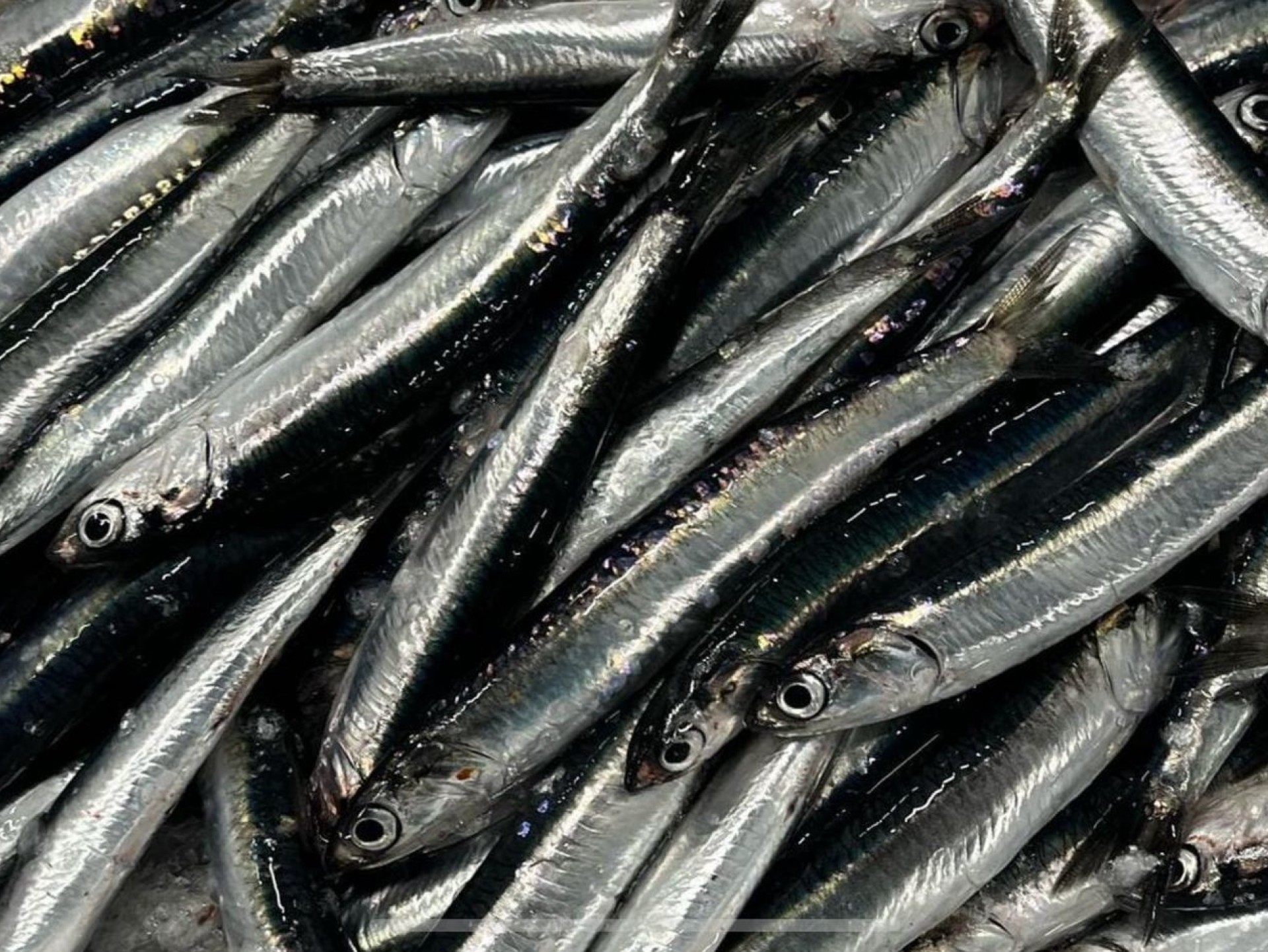 Delicias de Güela